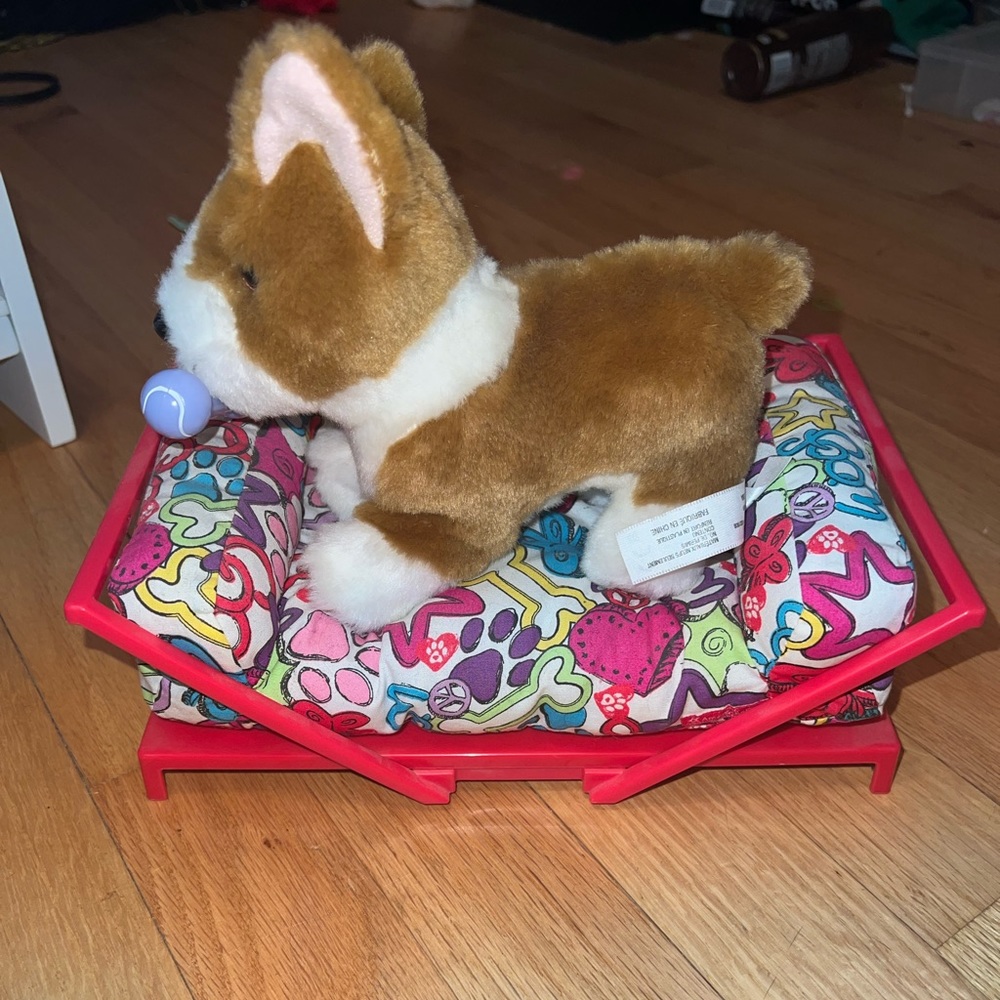 American girl corgi dog with bed